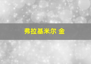 弗拉基米尔 金